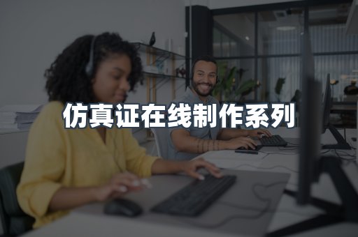 仿真证在线制作